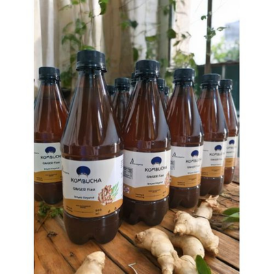 PROBIOTIC GINGER KOMBUCHA 24 PACK